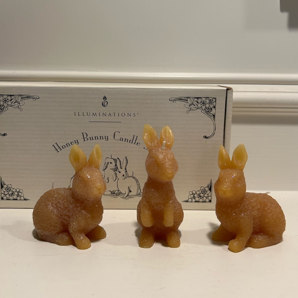 Illuminations Honey Bunny Candle Set